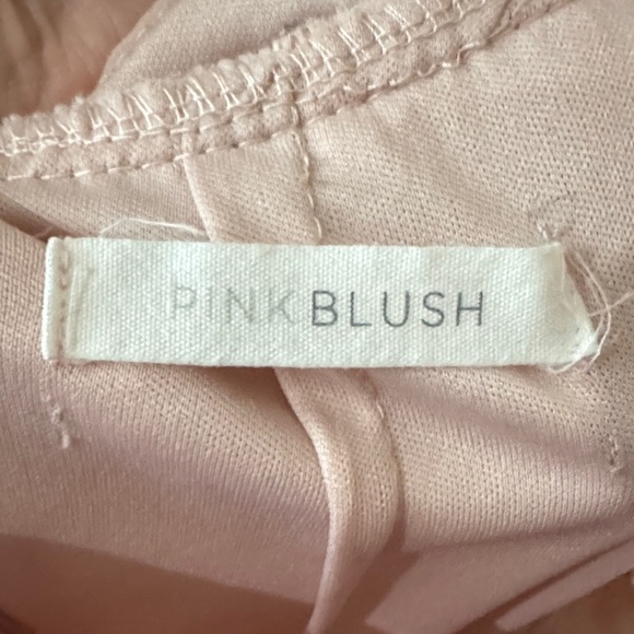 Pinkblush Elegant Lace Long Sleeve Dress in Blush - Picture 4 of 11